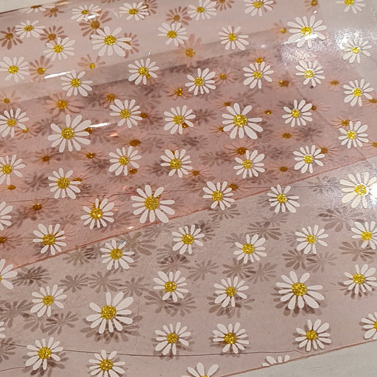 26 Transparent pink daisy