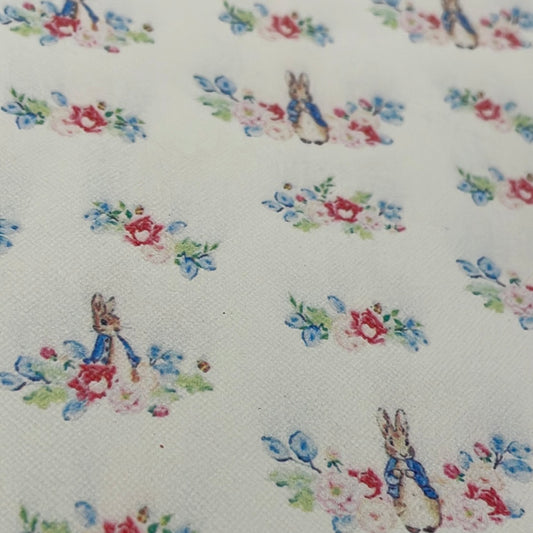 200 character Peter rabbit leatherette