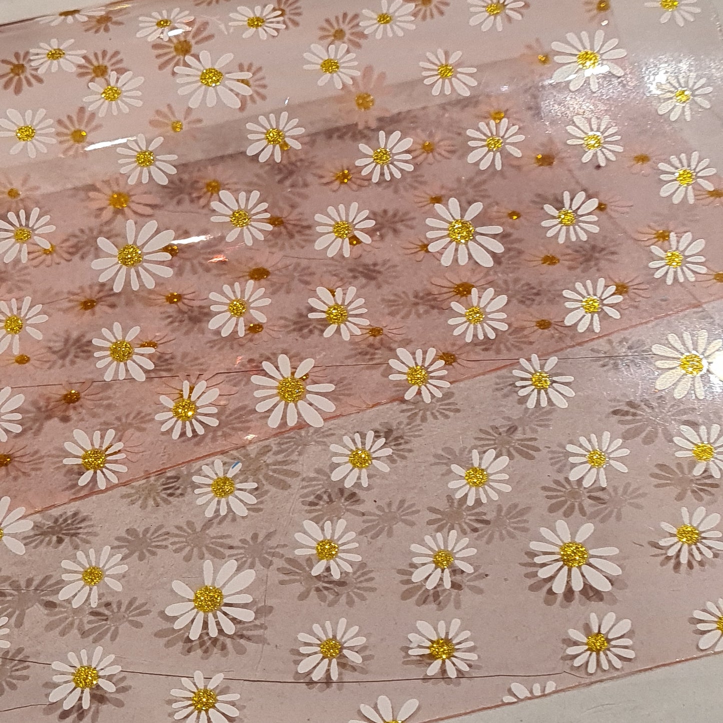 26 Transparent pink daisy